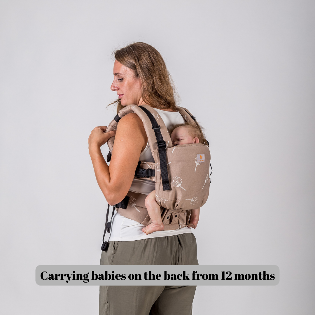 baby back carrier after 12 months