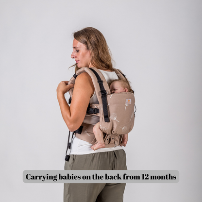 baby back carrier after 12 months