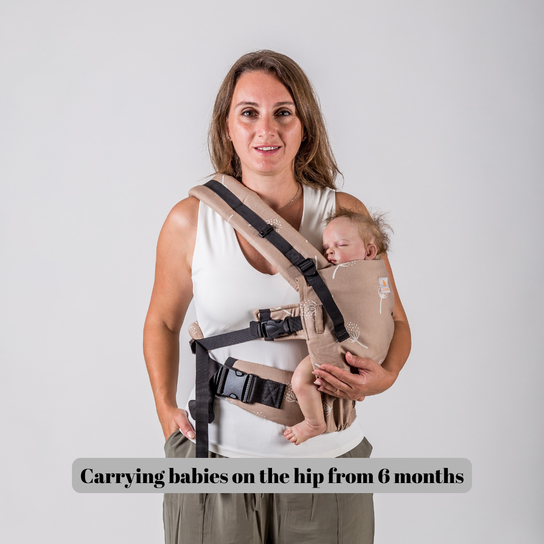 baby hip carrier